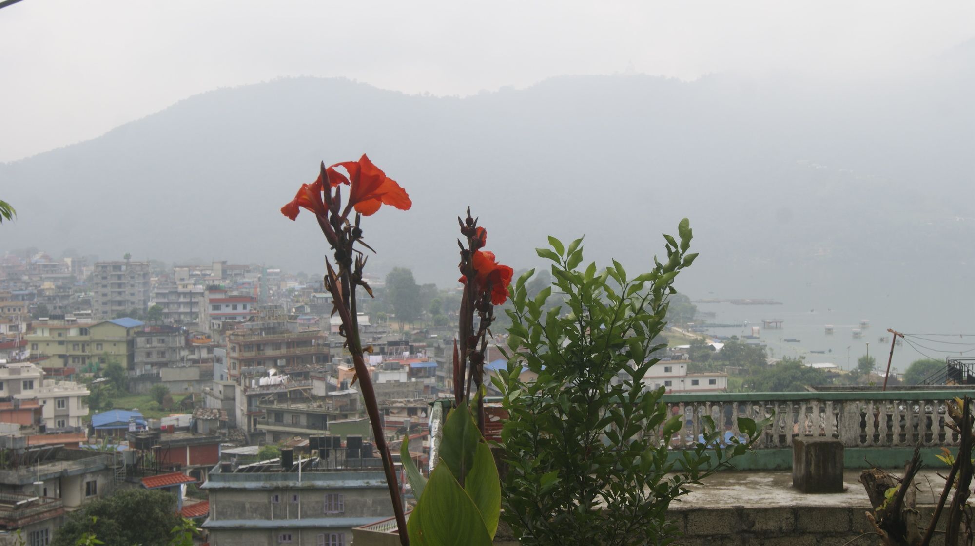 Peace Guest House Pokhara Dış mekan fotoğraf