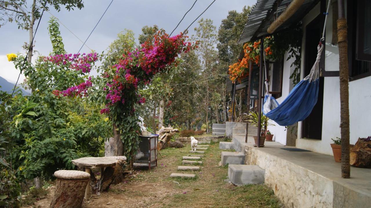 Peace Guest House Pokhara Oda fotoğraf